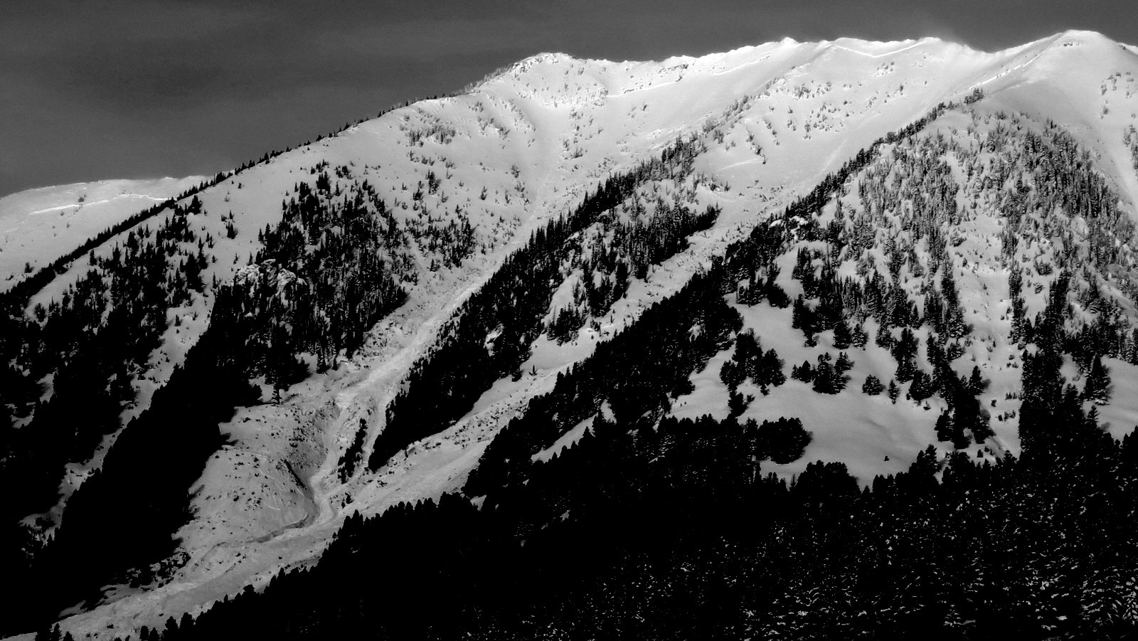 Baldy Mountain