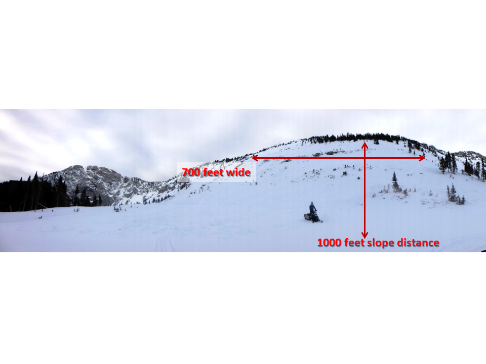 Avalanche near Ross Peak