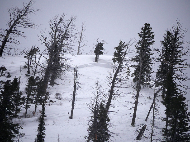 Skier triggered avalanche on Town Hill in Cooke City