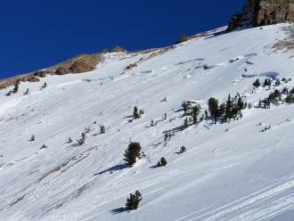 Daisy Pass Crown