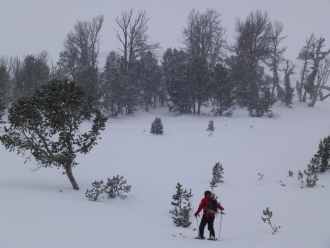 Location of partially buried skier