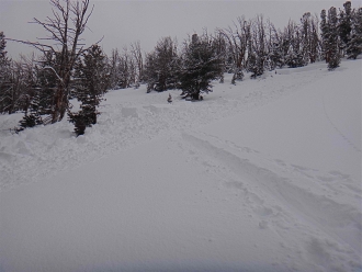 Human Triggered Avalanche Beehive Basin - 1/10/14