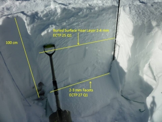 Bear Basin Snowpack